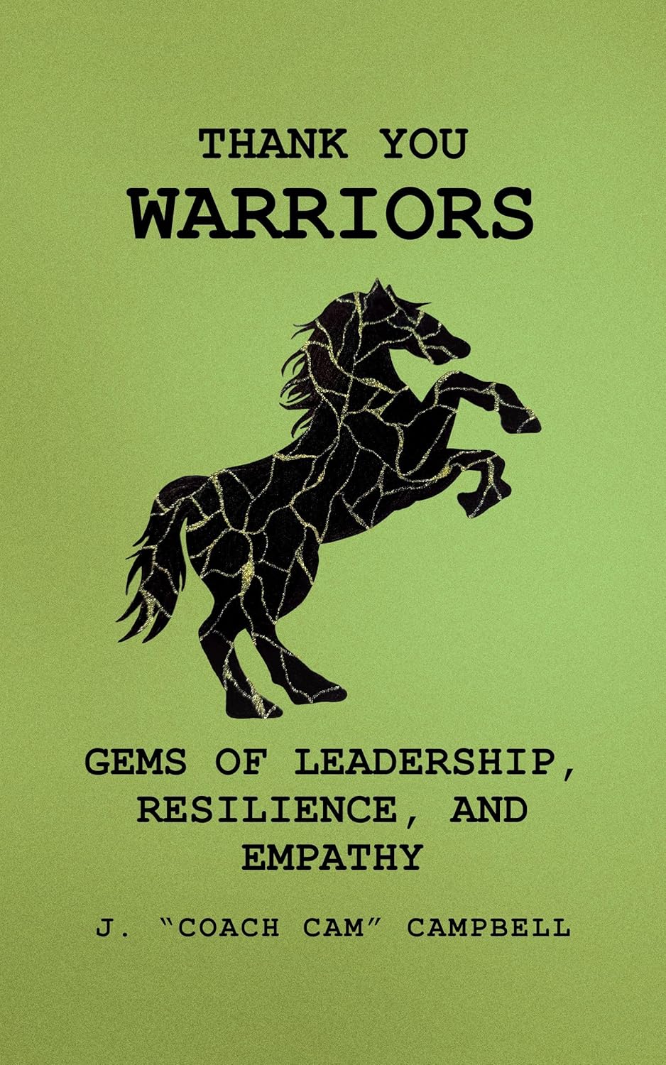 Cover of Thank You Warriors by Jergen Campbell